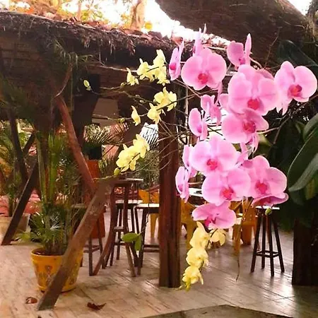 Chale Kangaroos Imbassai Villa Exterior foto