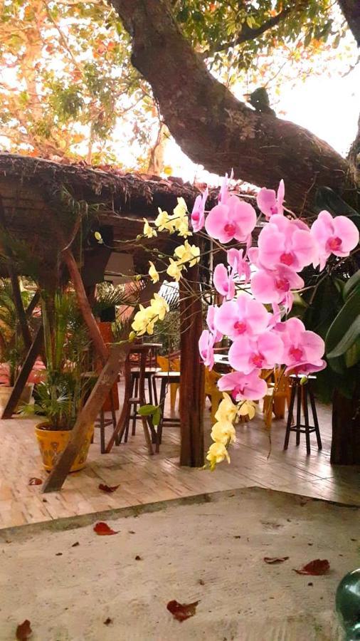 Chale Kangaroos Lodge Imbassai